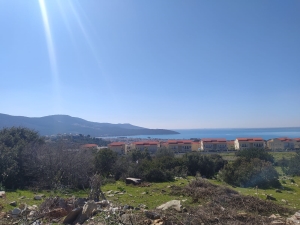 INVESTMENT LAND WITH SEA AND NATURE VIEWS FROM DIDIM AKBUK
