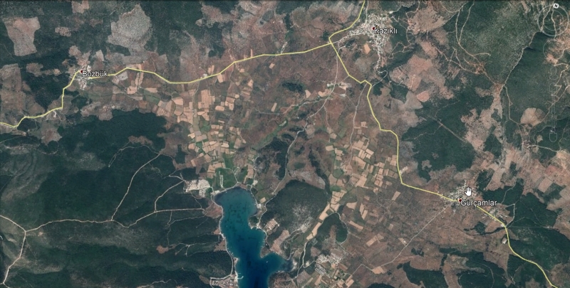 KAZIKLI'DA ZEYTİNLİK